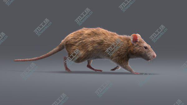 images/goods_img/20210312/Rat Fur Animated 2 model/4.jpg
